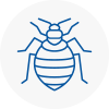 Bed Bug Extermination In Thornton Heath